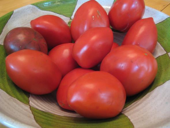 Homegrown tomatoes