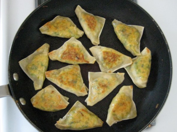 Cabbage, Edamame, Carrot Potstickers || Small World Supper Club