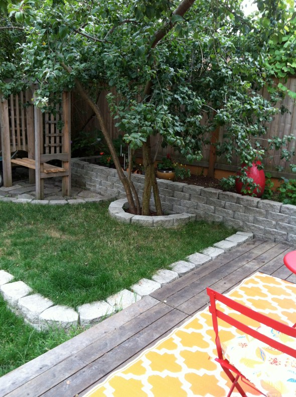 Plums, Grapes, Pears, and Raspberries in the Backyard