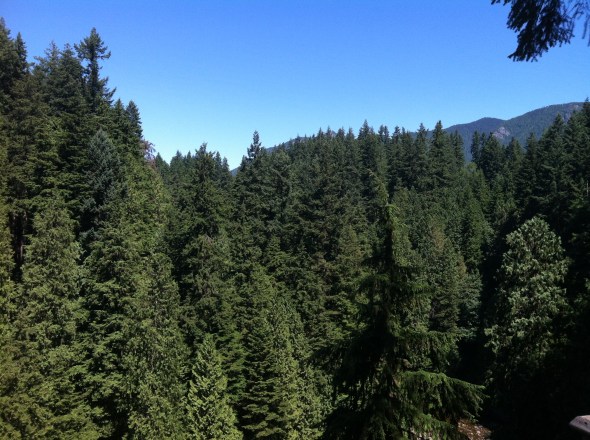 Capilano Suspension Bridge Park