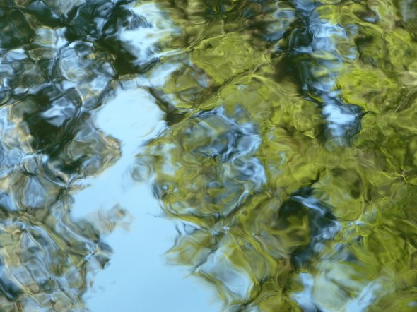 Geometric Reflections