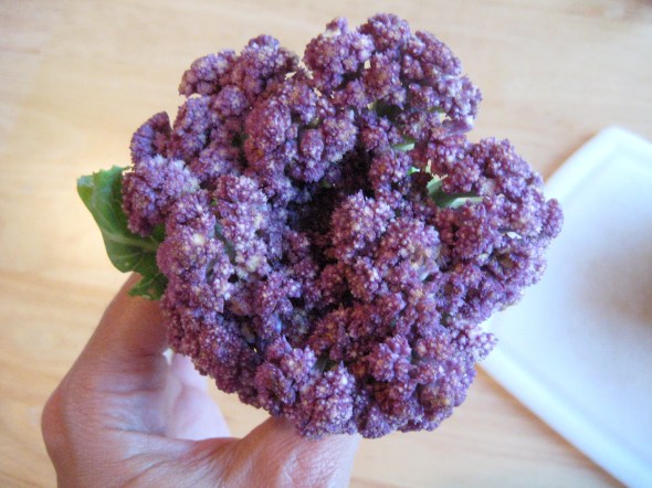 Purple Cauliflower
