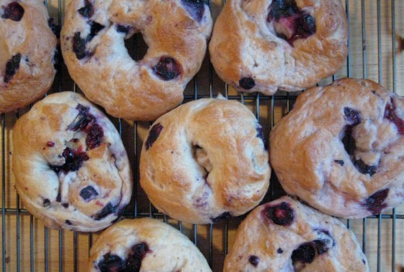 Blueberry Bagels || Small World Supper Club