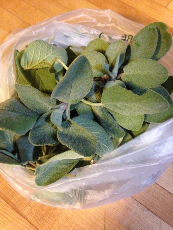 Fresh Sage || Small World Supper Club